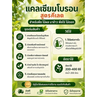 แคลเซียมโบรอน สูตรคีเลต สต็อกน้ำ 20 ลิตร ละลายหมด ไม่ทิ้งตะกอน