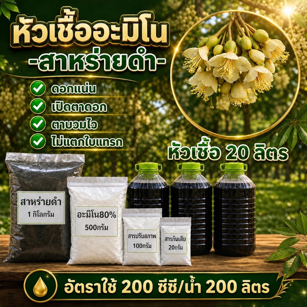 หัวเชื้ออะมิโน-สาหร่ายดำ หัวเชื้อ 20 ลิตร ช่วยในการเปิดตาดอก