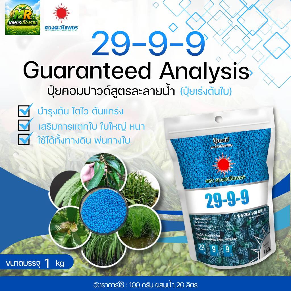 29-9-9 (แบรนด์) 1 kg (ดวงตะวันเพชร)บำรุงต้นใบ ใบเขียวทนเขียวนาน #เกษตรเมืองราช