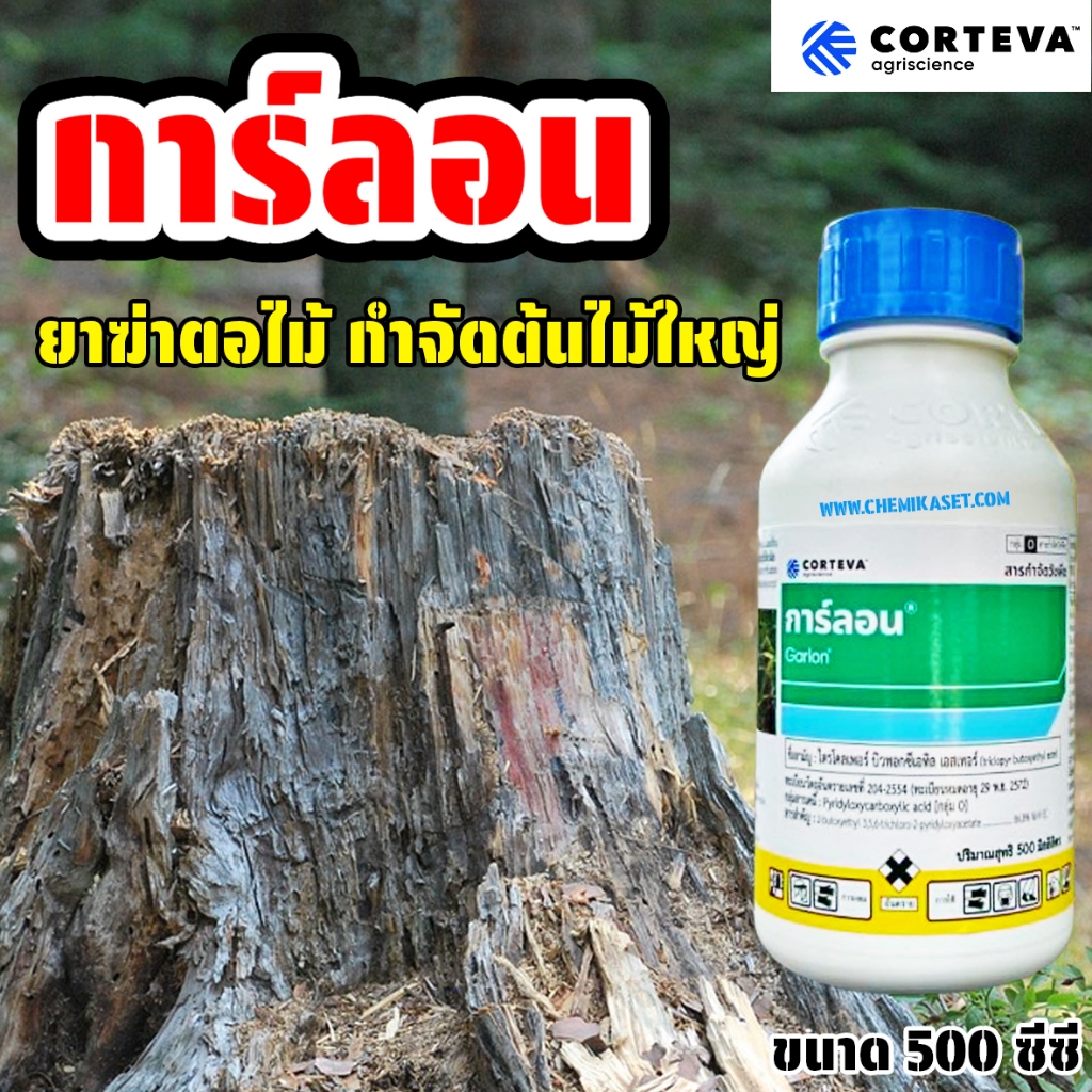 การ์ลอน ขนาด 500 ซีซี สารกำจัดตอไม้ รากไม้ ยาฆ่าตอไม้ ทำลายตอไม้ ป้ายตอไม้ กำจัดราก กำจัดวัชพืช