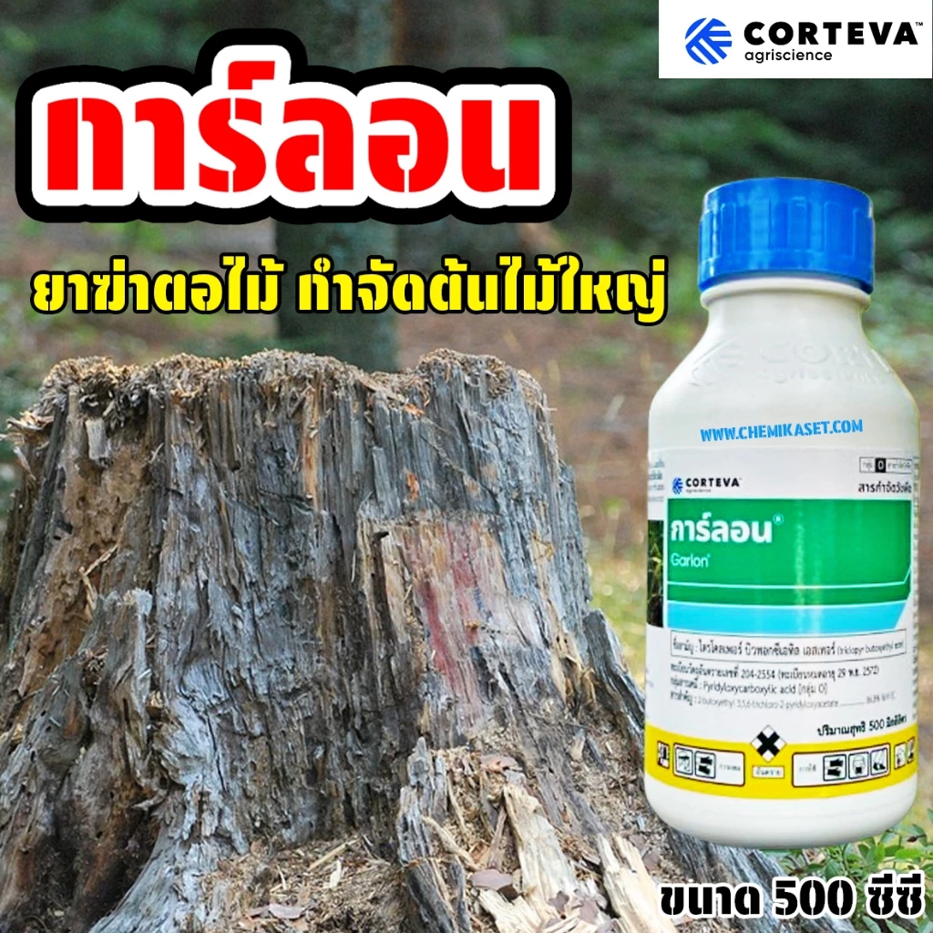 การ์ลอน ขนาด 500 ซีซี สารกำจัดตอไม้ รากไม้ ยาฆ่าตอไม้ ทำลายตอไม้ ป้ายตอไม้ กำจัดราก กำจัดวัชพืช