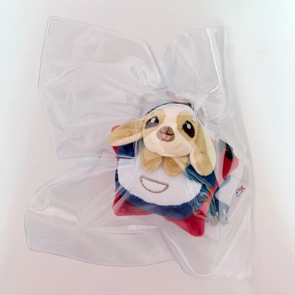 (พร้อมส่ง) WESLEY DOLL KEYCHAIN v.3 / v.2 ตุ๊กตาเวสลี่ย์