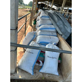 “ขี้วัวแห้งแท้ 100% 🌱 กระสอบ 15 โล เนื้อละเอียด ใช้งานง่าย ของพร้อมส่ง 🐄”
