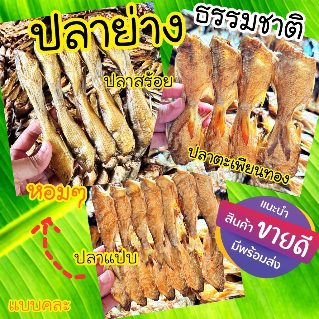 ปลาย่างรมควันแห้ง  6-20 ตัว ต่อแผง หอม ใหม่ ขนาดและชนิดปลาที่ได้ขึ้นอยู่ที่รอบจับได้ปลาอะไรจากแม่น้ำ