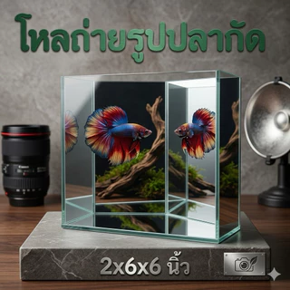 KPK โหลถ่ายรูปปลากัด กระจกเงาสะท้อน 5 เหลี่ยม (กาวใส ก2xย6xส6 นิ้ว)