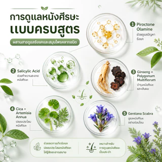 CNMOFAXIN แชมพูขจัดรังแคสมุนไพร 730ml สูตร Piroctone Olamine ดูแลรังแคและความมัน หนังศีรษะสะอาดสดชื่น