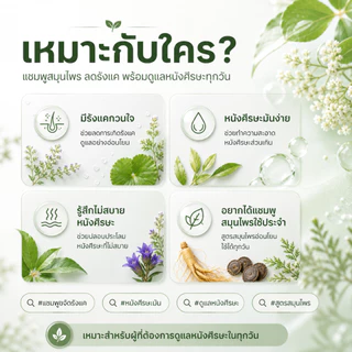 CNMOFAXIN แชมพูขจัดรังแคสมุนไพร 730ml สูตร Piroctone Olamine ดูแลรังแคและความมัน หนังศีรษะสะอาดสดชื่น