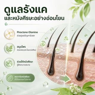 CNMOFAXIN แชมพูขจัดรังแคสมุนไพร 730ml สูตร Piroctone Olamine ดูแลรังแคและความมัน หนังศีรษะสะอาดสดชื่น
