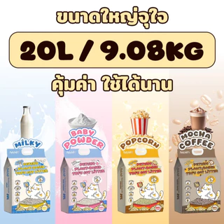 Petcho ทรายแมวเต้าหู้ Plant-based ดูดซับของเหลวภายใน 2 วินาที จับตัวเป็นก้อนแน่น ฝุ่นน้อย