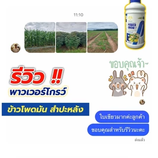 พาวเวอร์โกรว์#2แถม1ขวด