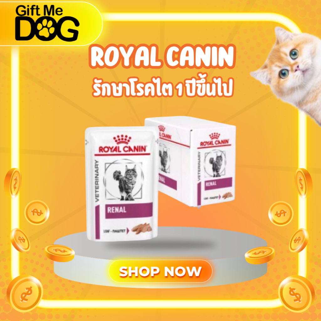 อาหารยา Renal Cat loaf pouch Royal Canin อาหารแมวประกอบการรักษาโรคไต ชนิดเปียก