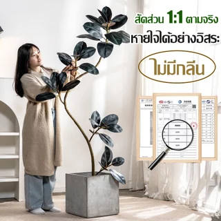 【ปรับแต่ง DIY ได้เอง 2026 รุ่นใหม่】 ต้นไม้ปลอม ต้นไม้ปลอมใหญ่ 120/160/180cm ความจำลอง 99% สำหรับตกแต่งบ้านและสว