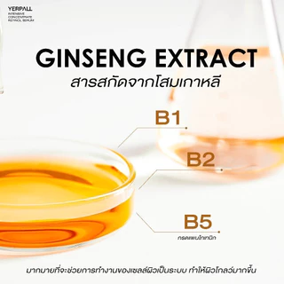 【บรรจุภัณฑ์แบบเก่า】ครีมโสมไฮยา yerpall Intensive Ginseng Hya Vitamin Night Cream ขนาด 10g.