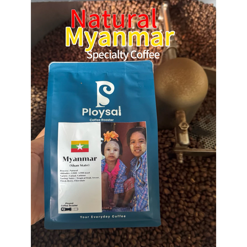 เมล็ดกาแฟ Myanmar Dry special