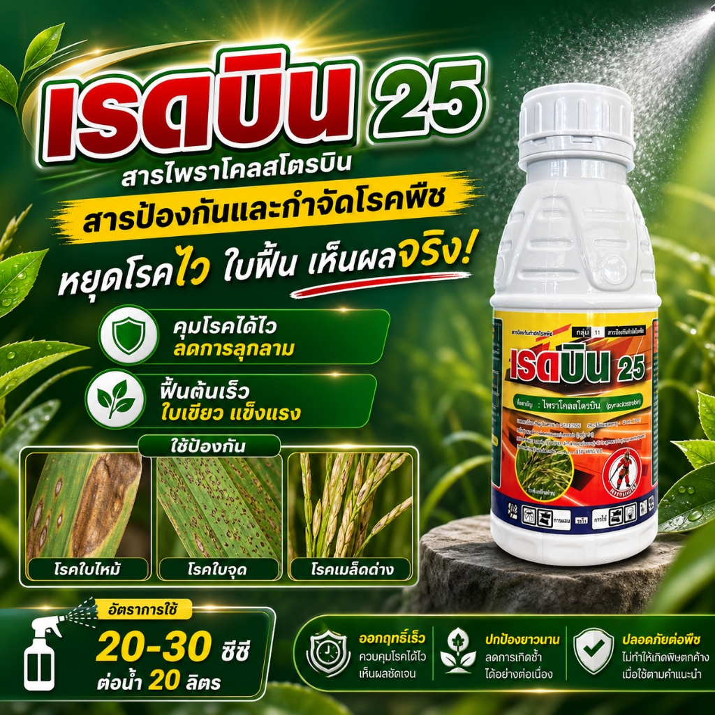 เรดบิน ไพราโคลสโตรบิน ( 500cc ) ใช้ป้องกันกำจัดโรคพืช โรคกุ้งแห้ง โรคใบติดในทุเรียน ใบใหม้