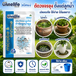 จุลินทรีย์กำจัดลูกน้ำยุงลาย หยุดวงจรชีวิตตั้งแต่ระยะลูกน้ำ อูเมะไลฟ์ กำจัดลูกน้ำยุง 100 กรัม