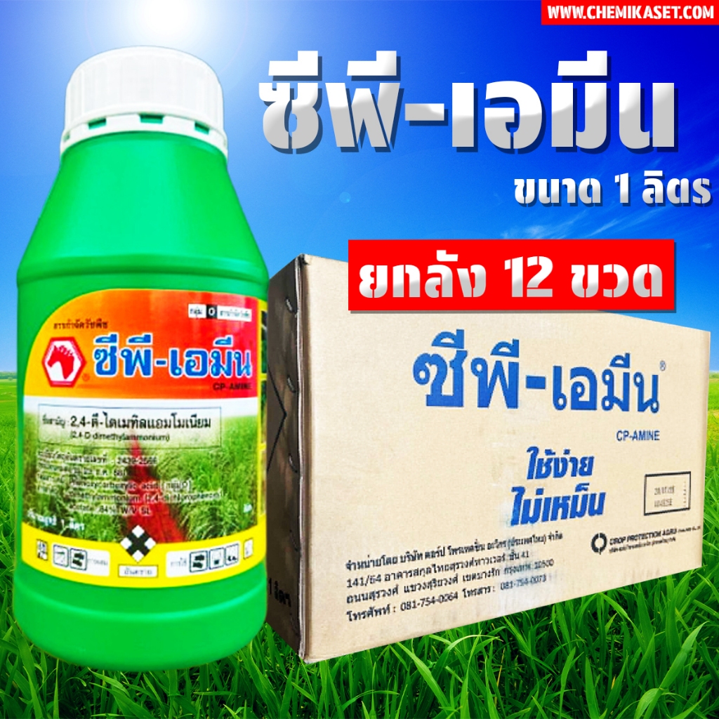 (ยกลัง 12 ขวด) ซีพี-เอมีน ขนาด 1 ลิตร ทูโฟดีน้ำ กำจัดวัชพืชใบกว้าง