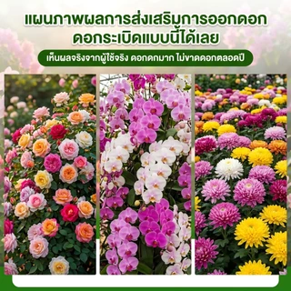【GreenThumb】ปุ๋ยฮัวตัวตัว 2 สูตร 250 กรัม ปุ๋ยอเนกประสงค์สำหรับไม้ดอกไม้ประดับ เร่งดอก เร่งผล ให้ดอกบานนานขึ้น