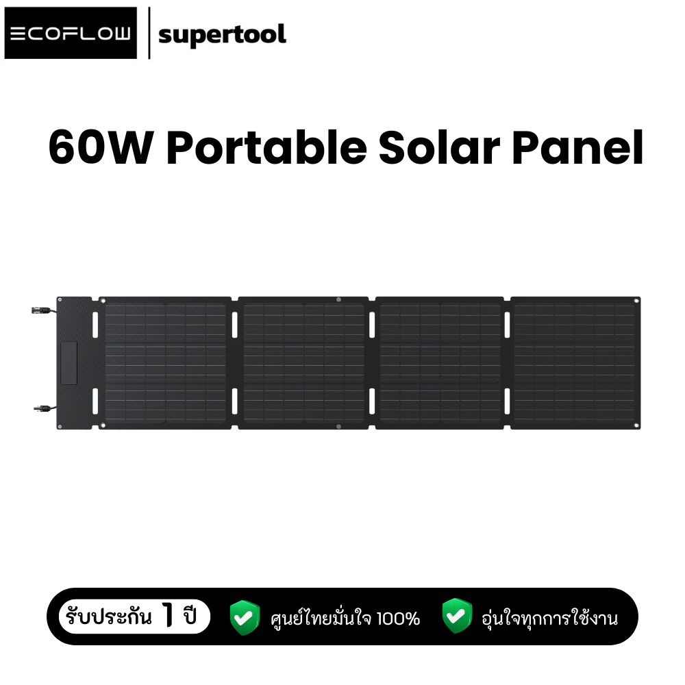 EcoFlow 60W Solar Panel