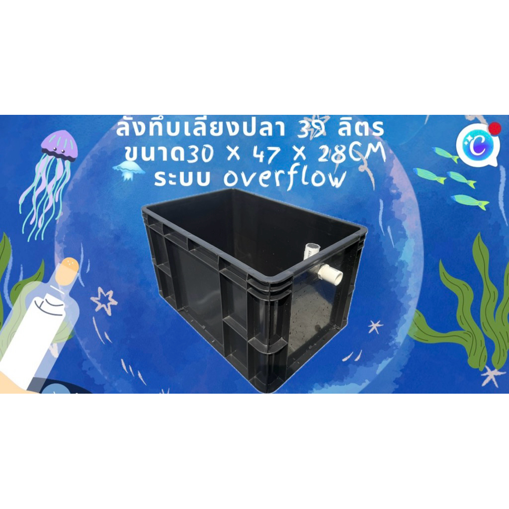 ลังทึบเลี้ยงปลาสีดำ 39 ลิตร ระบบoverflow ท่อขาว อ่างเปล อ่างปลาบอลลูน อ่างปลาหางนกยูง อ่างเลี้ยงปลา 