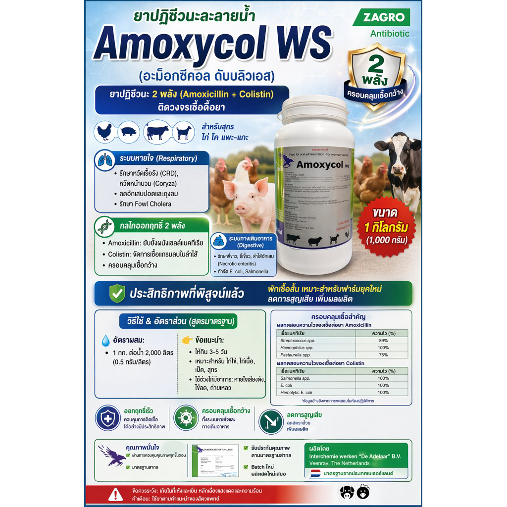 Amoxycol ws ป้องกันเสริมภูมิคุ้มกัน ในไก่ไข่ ไก่เนื้อ ไก่ชน และสัตว์ปีกทุกชนิด