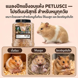 หนอนนกอบแห้ง หนอนอาหาร 1300ML โปรตีนสูง หนอนอบแห้ง สำหรับแฮมสเตอร์ เม่น กระรอก นก | Dried Mealworms