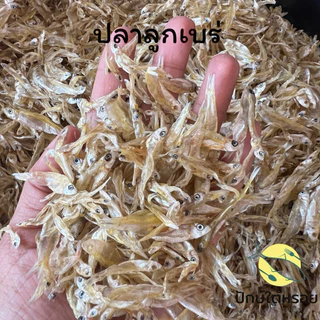 ปลาลูกเบร่ 150 กรัม ปลาตัวเล็ก สดใหม่ ตัวใหญ่ สวยๆ จากปากประพัทลุง