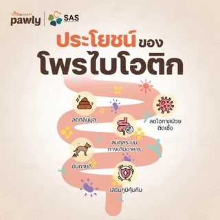 Pawly Cappa (หมดอายุ3/27)ผลิตภัณฑ์รักษาสมดุลในระบบทางเดินอาหารของสุนัขและแมว
