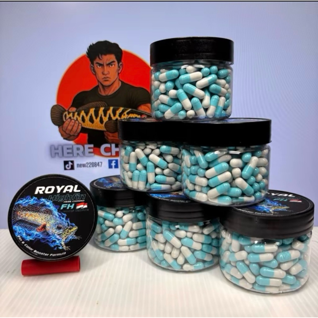 Royal Highfin Boots Capsule แคปซูลสายน้ำเย็น เน้นเร่งครีบและสีเป็นหลัก วิตามินนำเข้าจากอินโดนีเซียช่วยพัฒนาไฮฟินของปลา