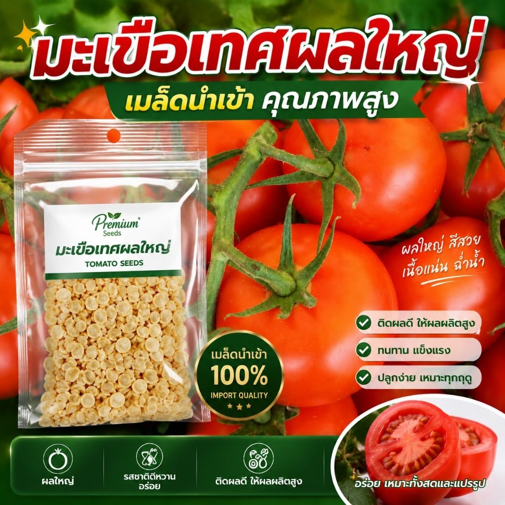 เมล็ดเมล็ดพันธุ์มะเขือเทศ ผลสวย  50 เมล็ด มะเขือเทศผลใหญ่  สายพันธุ์คัดพิเศษเมล็ดนำเข้า