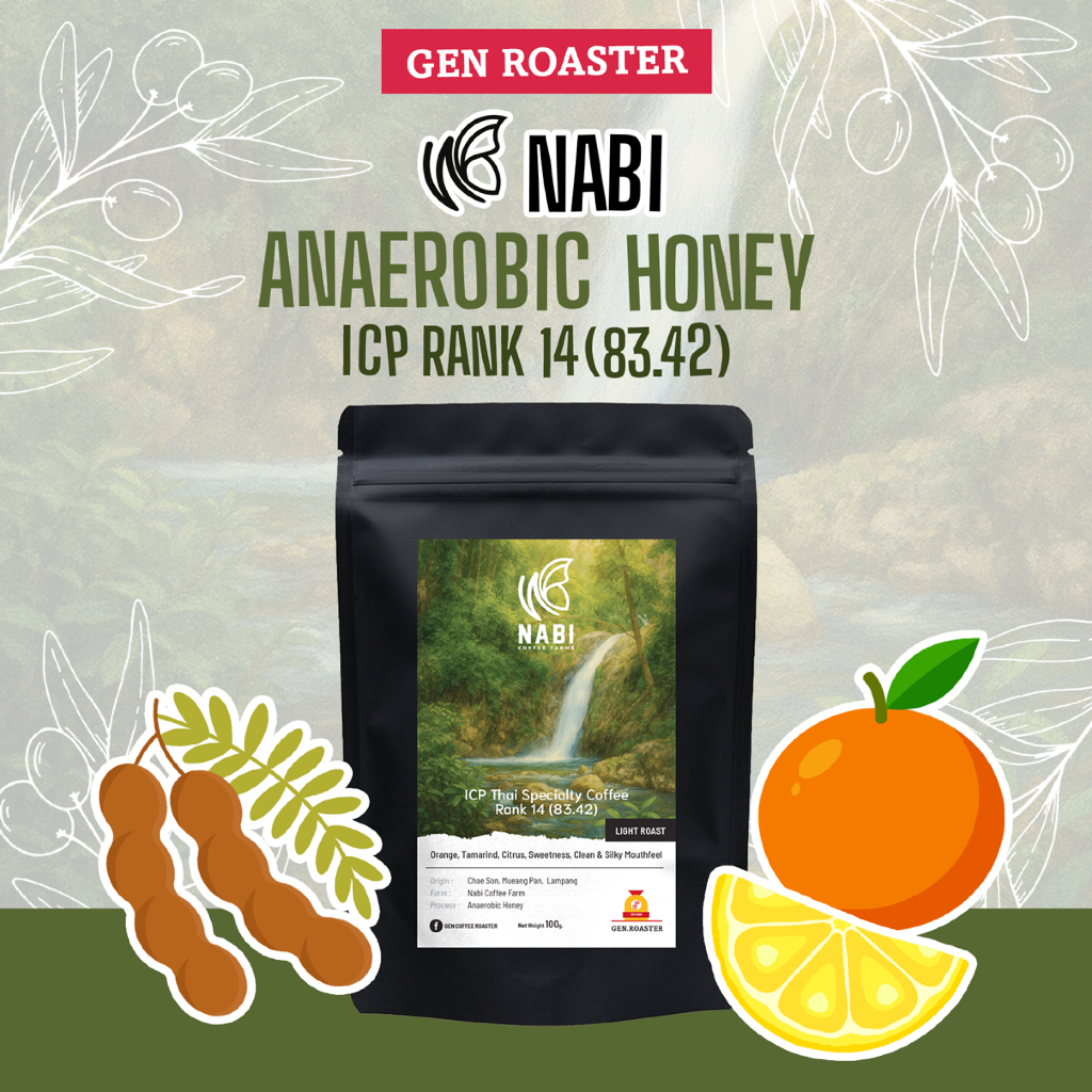GEN Roaster เมล็ดกาแฟพิเศษ คั่วอ่อน Nabi Coffee Farm ลำปาง ICP Thai Specialty Coffee Anaerobic Honey หวาน เปรี้ยว ฉ่ำ