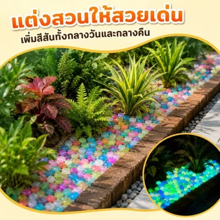 Siam หินเรืองแสง หินกรวดตกแต่งสวน แต่งตู้ปลา กระถางต้นไม้ เรืองแสงในที่มืด สีสวย ใช้งานง่าย พร้อมส่ง COD