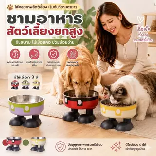 Boqi Factory ชามอาหารสัตว์เลี้ยง ชามอาหารแมว ทรงยกสูง น่ารักมินิมอล 2ชั้นถอดได้ CW382