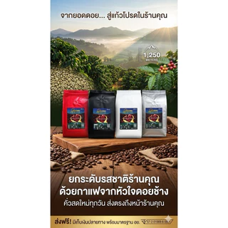 เมล็ดกาแฟคั่วดอยช้าง (Aรวม) (500 g.)