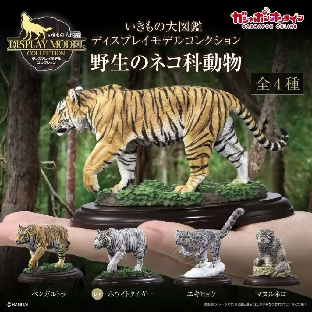 Encyclopedia of Living Things Display Model Collection: Wild Felines (Wild Cat Collection)