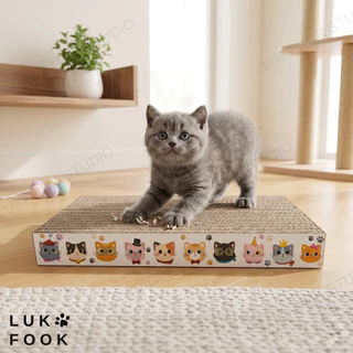CAT SCRATHER แผ่นฝนลับเล็บแมว กระดาษลับเล็บ