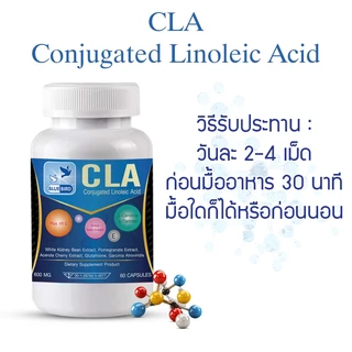 ซีแอลเอ CLA Conjugated Linoleic Acid Plus L-carnitine ตรา บลูเบิร์ด 60 เม็ด