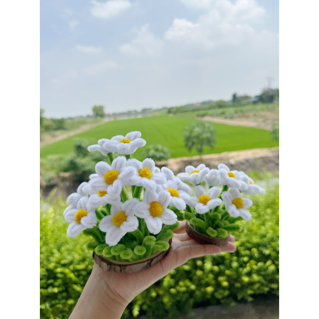 กระถางดอกไม้ฐานไม้ - ดอกไม้ลวดกำมะหยี่