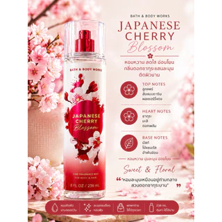 Body Mist 236ml น้ำหอมมิสต์ผู้หญิง กลิ่นหอมติดผิว เลือกกลิ่นได้ พร้อมส่ง