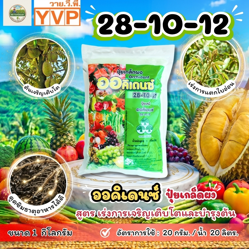 ปุ๋ยเกล็ด 28-10-12 ออคิเดนซ์ สูตรเร่งการเจริญเติบโตทางต้นและทางใบ ฉีดพ่นในระยะเริ่มปลูกใหม่ วายวีพี