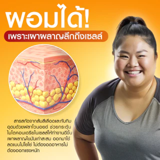 (1แถม1) Vista Plus ผลิตภัณฑ์เสริมอาหาร คุมน้ำหนัก คุมหิว เร่งเผาผลาญ บล็อกไขมัน พุงยุบ หน้าท้องแบน