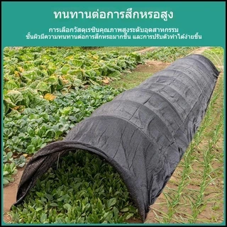 10ชิ้น 4/6/8mm(แท่งกลมตัน) มีให้เลือกหลายขนาด ไม้ค้ำต้นไม้ หลักไม้เลื้อย แพ็คละ GLASS FIBER TUBE