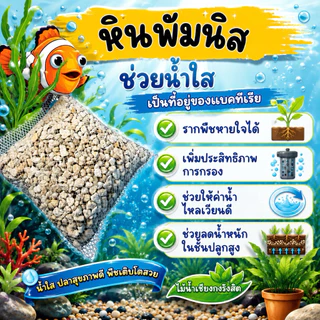 หินพัมนิส​ 🌳ฟรีถุง🐟หินรองพื้นตู้ปลา​ หรือใส่ดิน