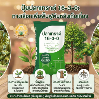 ปุ๋ยปลาเทราต์ สูตร 16-3-0 ฟื้นฟูต้นพืชหลังเก็บเกี่ยว เร่งแตกใบอ่อน สร้างรากใหม่ และบำรุงลำต้นให้แข็งแรง นิยมใช้ในไม้ผล