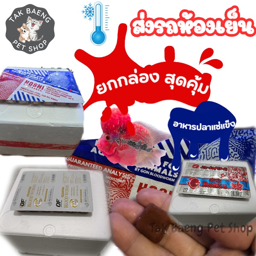 ส่งรถห้องเย็นส่งเร็ว ยกกล่อง ราคาสุดคุ้ม หนอนแดง ไรฝุ่น ไรแดง ไรทะเล กุ้งฝอย แช่แข็ง อาหารปลา อาหารสัตว์น้ำ