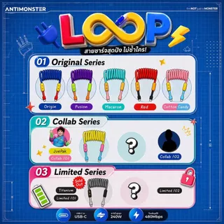 สายชาร์จ LOOP Collab /02 DataRockie 240W Type-C Fast Charging