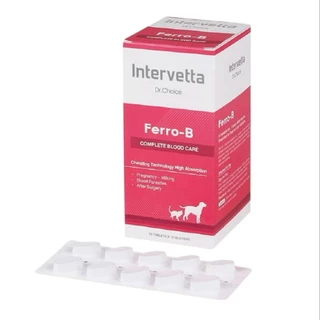 Dr.Choice Ferro-B (Exp.10/2027) บรรจุ 100 เม็ด อาหารเสริมเพื่อช่วยบำรุงสำหรับสุนัขและแมว