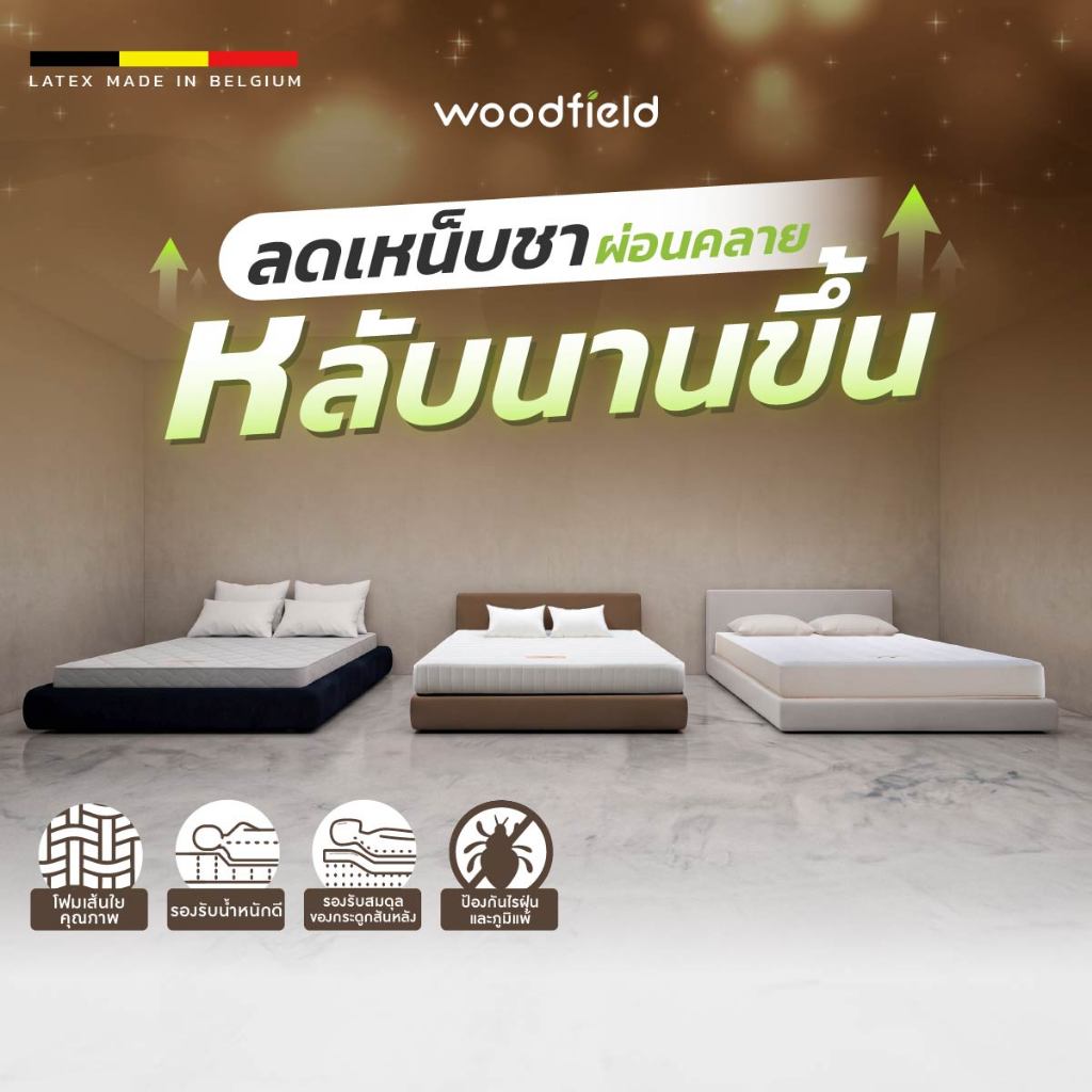 Woodfield ที่นอนสปริง/พ็อกเก็ตสปริง รุ่น W-5500 | S-Hybrid | Pro ลดเหน็บชา ผ่อนคลาย หลับนานขึ้น