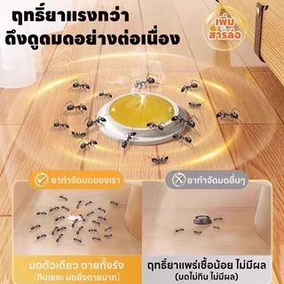 วางง่าย มดตายไว TIA เหยื่อกำจัดมด เจลกำจัดมด ยาฆ่ามด เหยื่อมด เจลฆ่ามด Ant Bait
