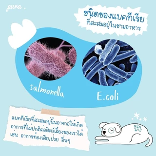 PURA น้ำยาล้างจานสำหรับสัตว์เลี้ยงพูร่า ไม่มีกลิ่นเคมีสังเคราะห์ อ่อนโยนกับหมาแมวและสัตว์เลี้ยงทุกสายพันธุ์